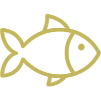 Avicola